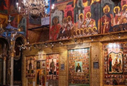 Evolution garden景点图片