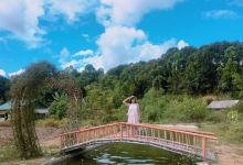 Hoa Mường Phăng景点图片