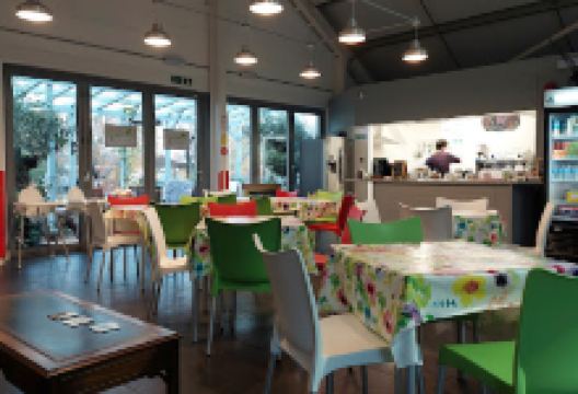 TR Home and Garden购物图片