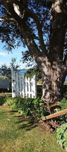 Arm of Gold Campground-小布拉多尔