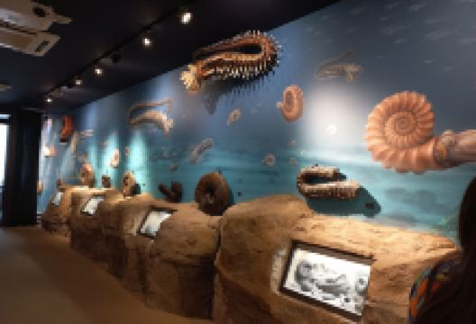 Centro de Interpretación Geológica Nautilus景点图片