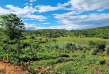 Fazenda Lagoa Grande景点图片