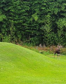 Ugu District Municipality