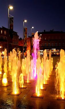 Le Jardin National-阿尔比