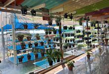 PARK VITRINE DAS FLORES购物图片