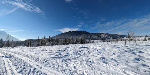 Moor - Erlebnis Pfad