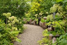 The Edible Forest Yarra Valley景点图片