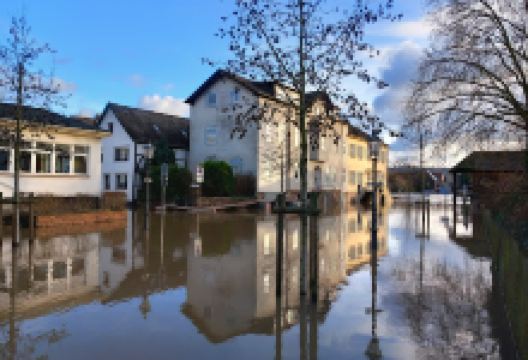 Rathaus Beverungen景点图片