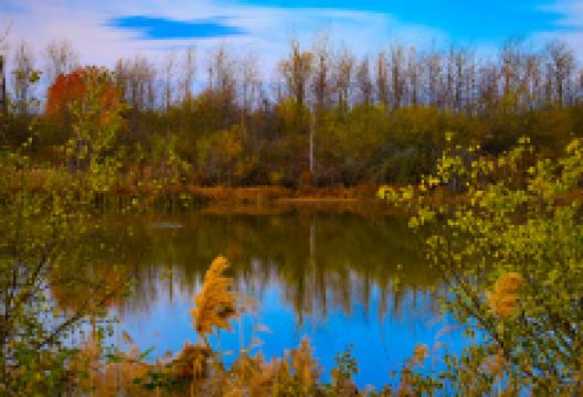 George Nicholson Memorial Trail景点图片