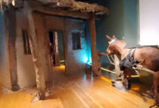 Casa Del Bicentenario景点图片