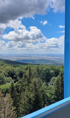 TV and observation tower-珍珠河