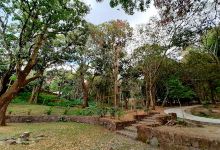 Área de Picnic景点图片