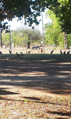 The Katherine Museum-凯瑟琳