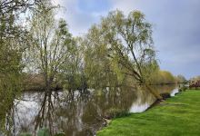 Lindholme Lakes Country Park景点图片