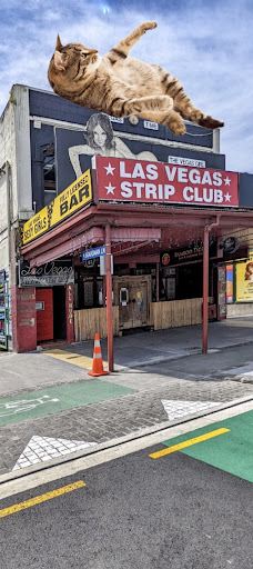 卡朗加黑皮路-奥克兰