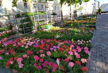 La ferme saint Antoine购物图片