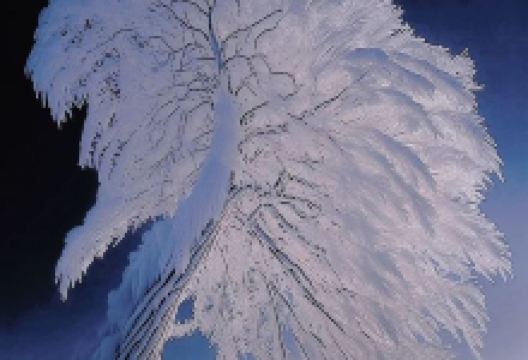 安广镇景点图片