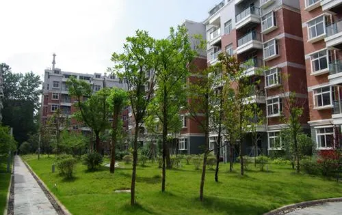 柴泊湖休閑廣場