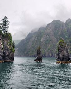 Kenai Fjords Tours-西沃德