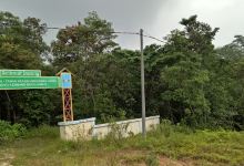 Hutan Kota Taman Keaneka Ragaman Hayati景点图片