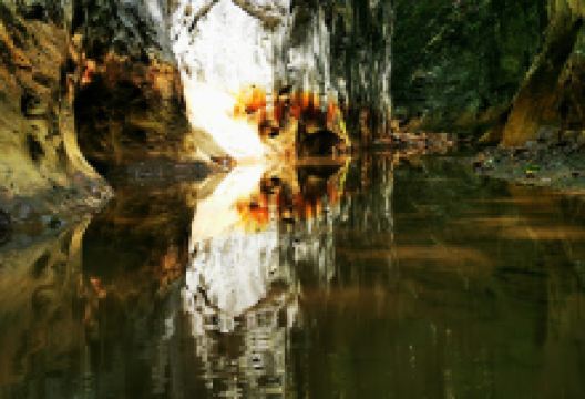 Cheile Glodului景点图片