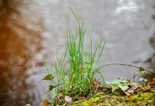 Buskersbos Natuurmonumenten景点图片