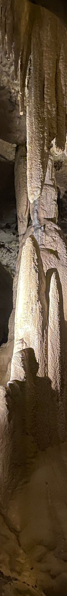 Grottes de Betharram-圣佩德比戈尔