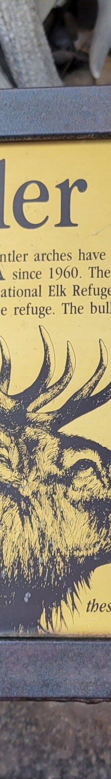 杰克逊鹿角公园-杰克逊