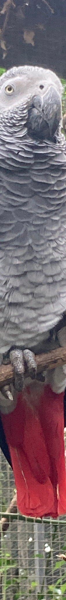 Butterfly Park Empuriabrava-Alt Emporda