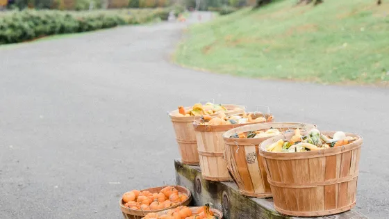 Lawrence Farms Orchards