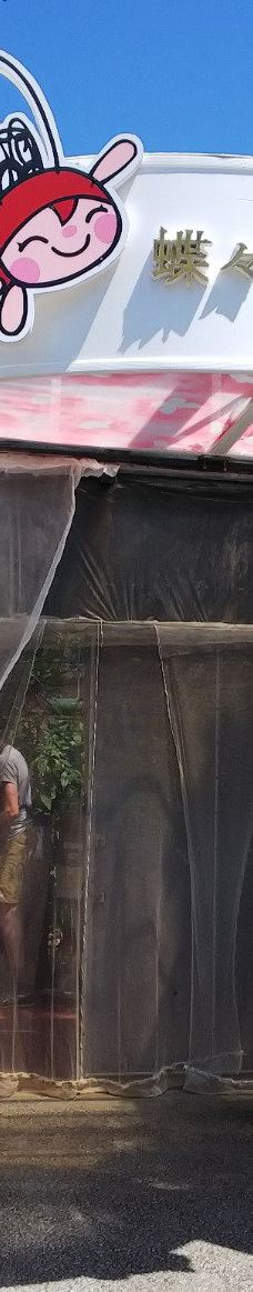 琉宫城蝴蝶园-本部町