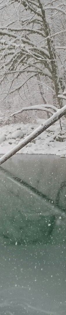 林恩峡谷公园-北温哥华