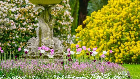 Swiss Garden