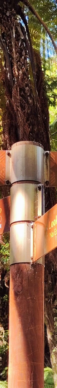 Mauao / Mount Maunganui summit-塔朗哥