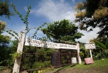 Tobago Cocoa Estate景点图片