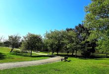 Parque de Avioso - S. Pedro景点图片