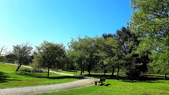 Parque de Avioso - S. Pedro