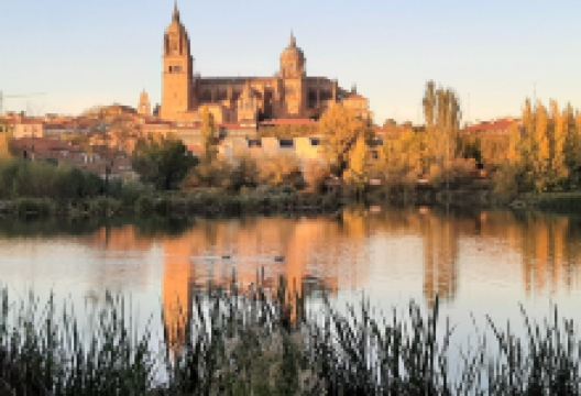 Bikecicletas Salamanca购物图片