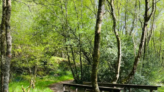 Inchree Waterfalls