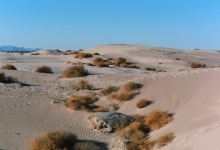 Dunas de Bilbao景点图片