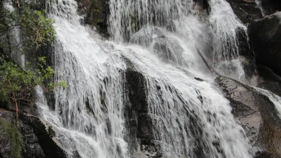 Toorongo Falls