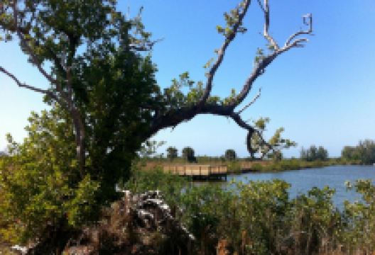 Galt Preserve景点图片