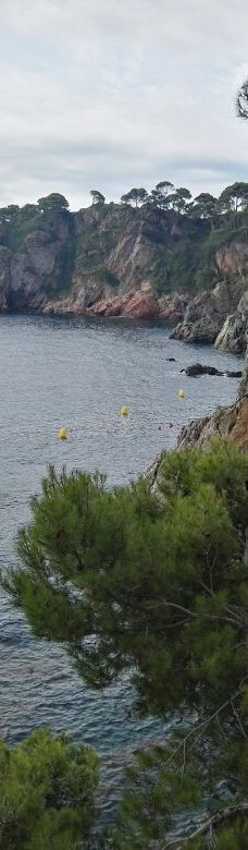 Cala El Golfet-帕拉弗鲁赫尔
