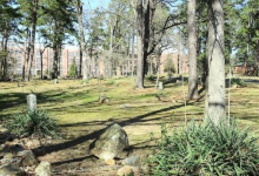 Old Chapel Hill Cemetery景点图片