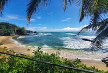 Toco Main Rd, Trinité-et-Tobago, Plage Petit l'Anse景点图片