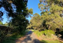 Bushy Creek Reserve景点图片