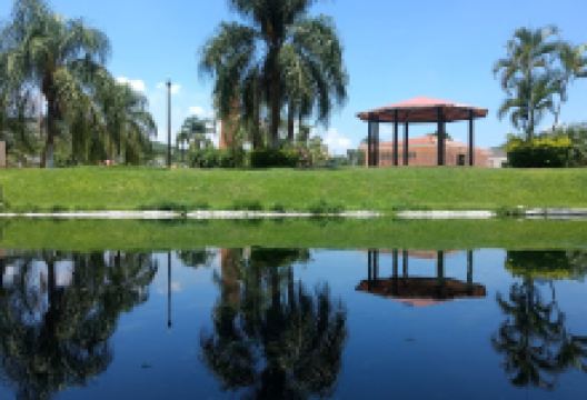 The Axocochetl景点图片