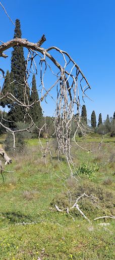 Poros Beach-Kiani Akti