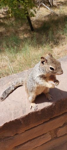The Grotto Picnic Area-华盛顿县