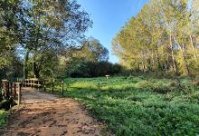 Passadiços de Fiães (Parque das Ribeiras)景点图片